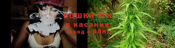 крисы Гусев