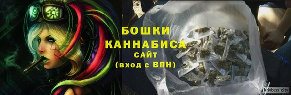 дживик Дмитриев
