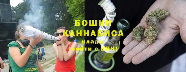 крисы Гусев