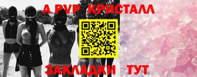 крисы Донской