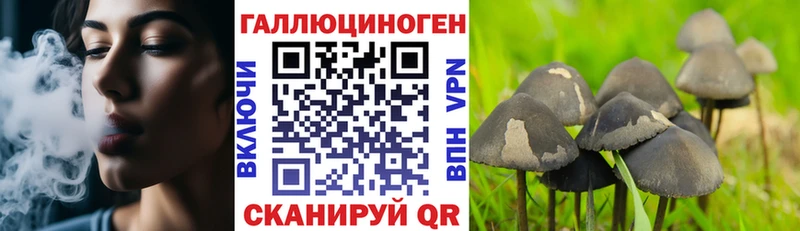 Псилоцибиновые грибы Magic Shrooms  цена наркотик  Острогожск 