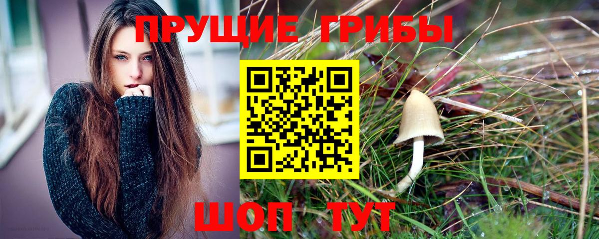 Галлюциногенные грибы мухоморы Острогожск