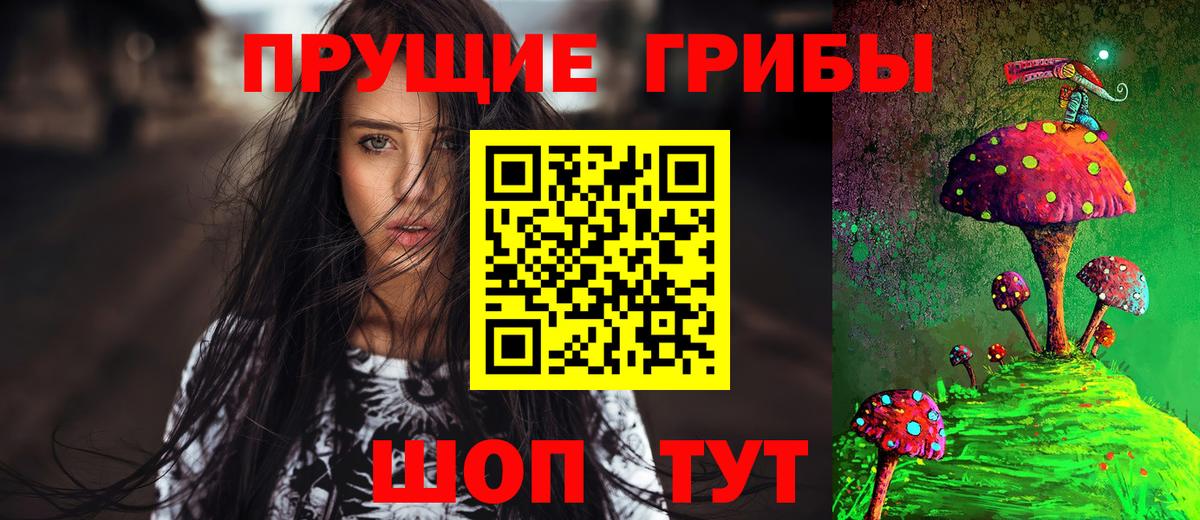 Псилоцибиновые грибы мицелий  Острогожск  Галлюциногенные грибы Psilocybe 