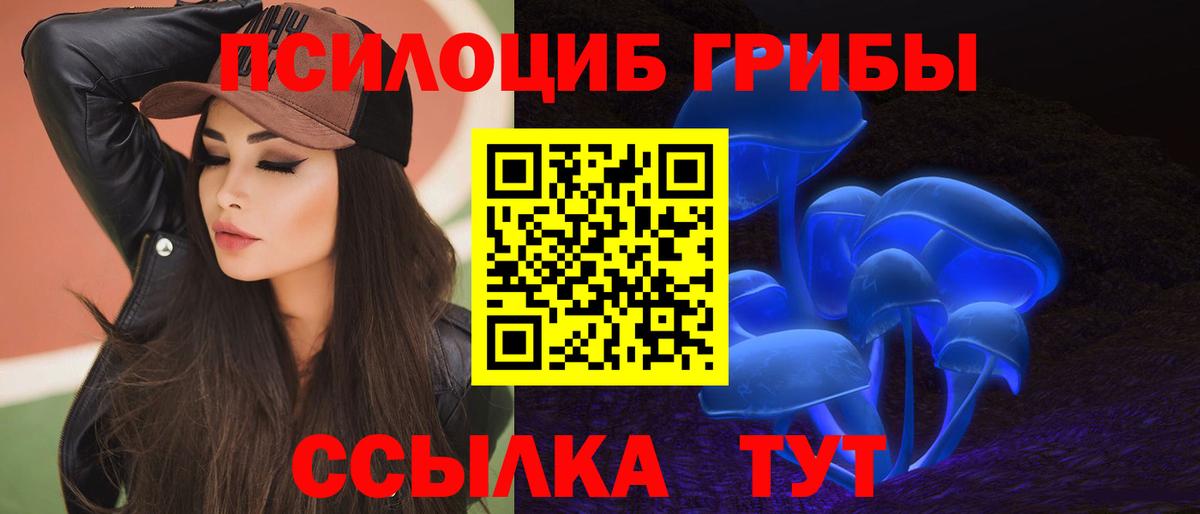 Галлюциногенные грибы Psilocybe  Псилоцибиновые грибы MAGIC MUSHROOMS  Вход с VPN  Острогожск 